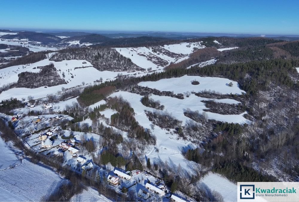 Działka inwestycyjna na sprzedaż Stężnica  102 500m2 Foto 3