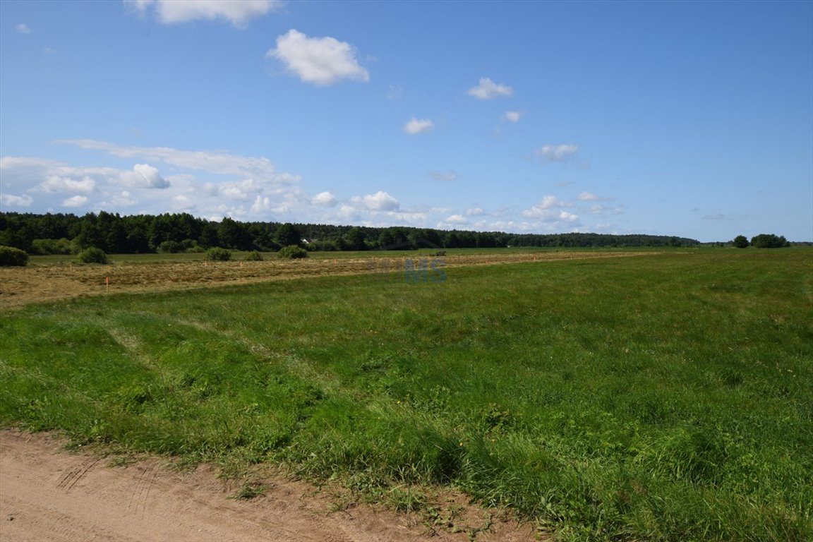 Działka rolna na sprzedaż Karwieńskie Błoto Pierwsze  510m2 Foto 5