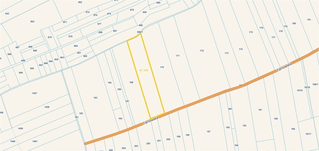 Działka rolna 1,19 ha z dostępem do drogi - polecam Żdżary  11 880m2 Foto 1