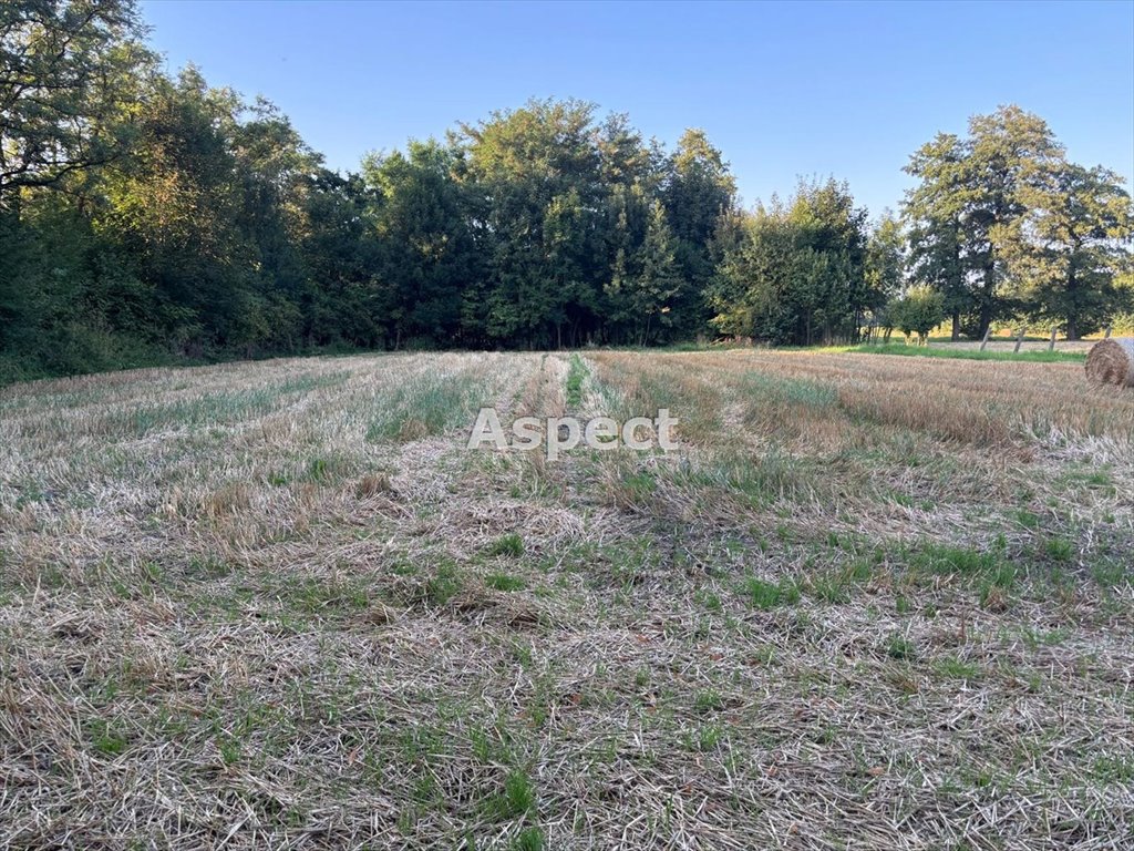 Działka budowlana na sprzedaż Frelichów  1 577m2 Foto 1