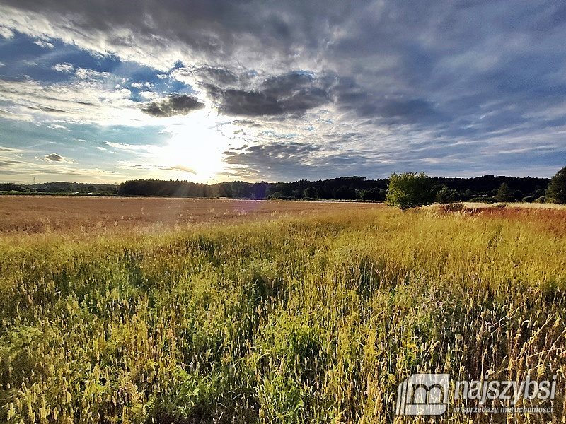 Działka rolna na sprzedaż Łupowo, Wieprzyce  2 352m2 Foto 5