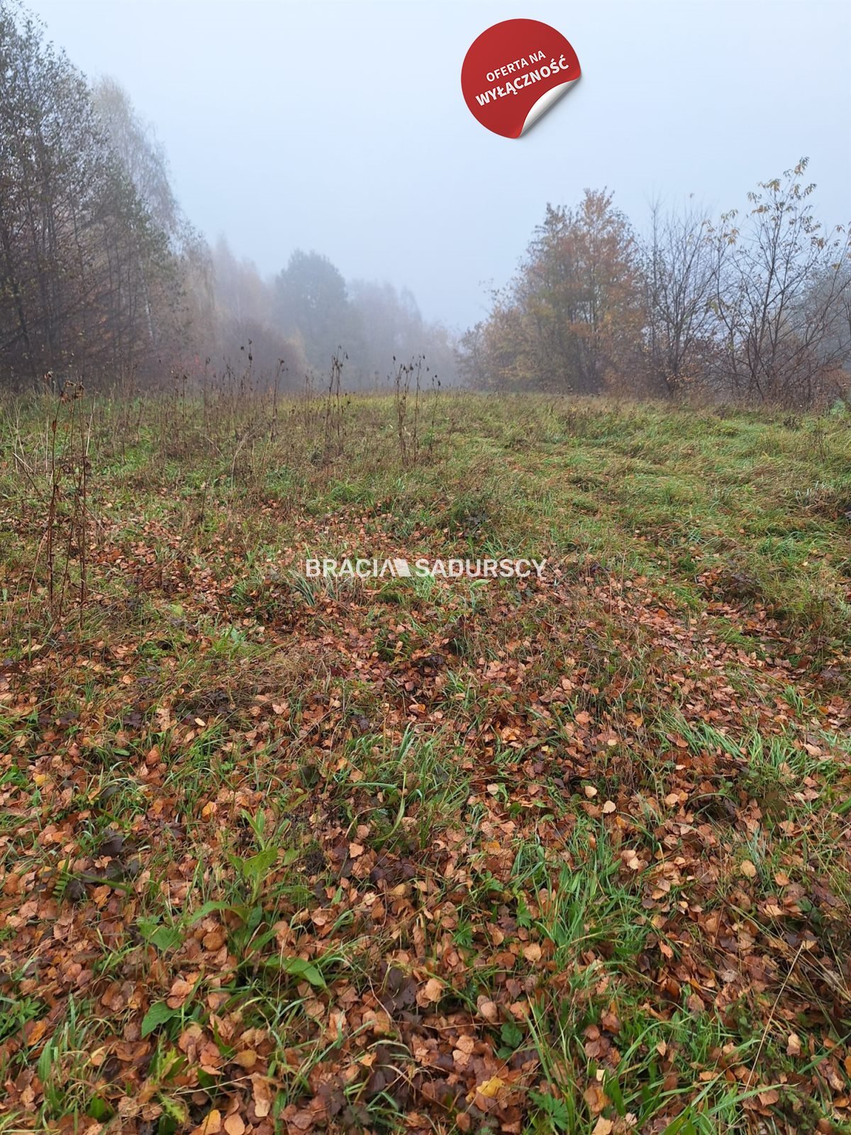 Działka budowlana na sprzedaż Podstolice  3 600m2 Foto 7