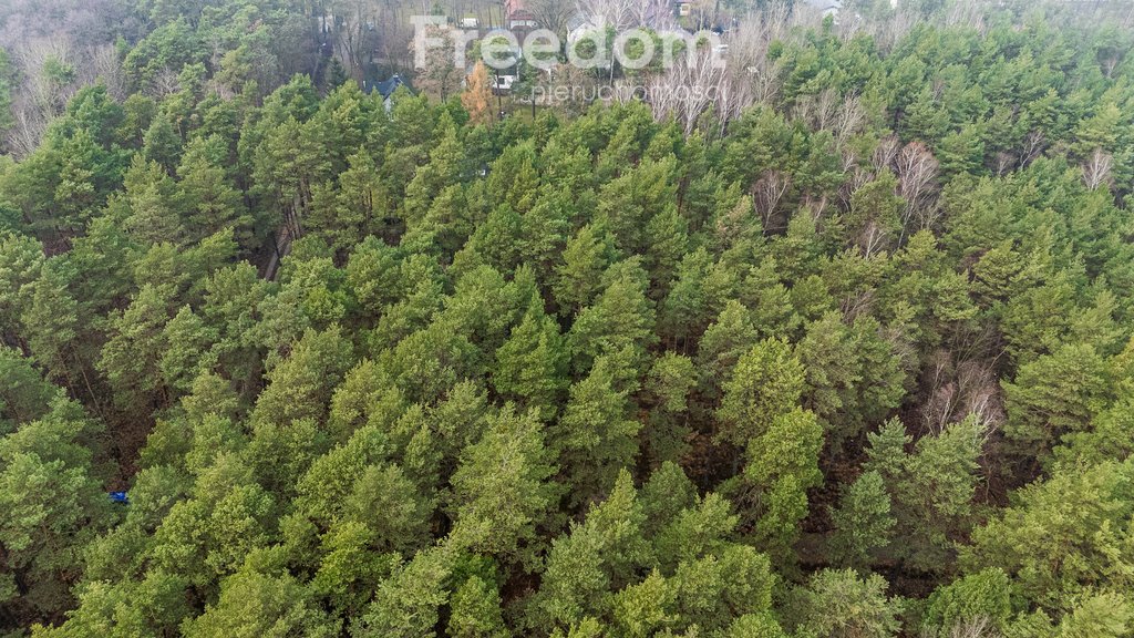 Działka budowlana na sprzedaż Złotokłos, Wierzbowa  4 200m2 Foto 5