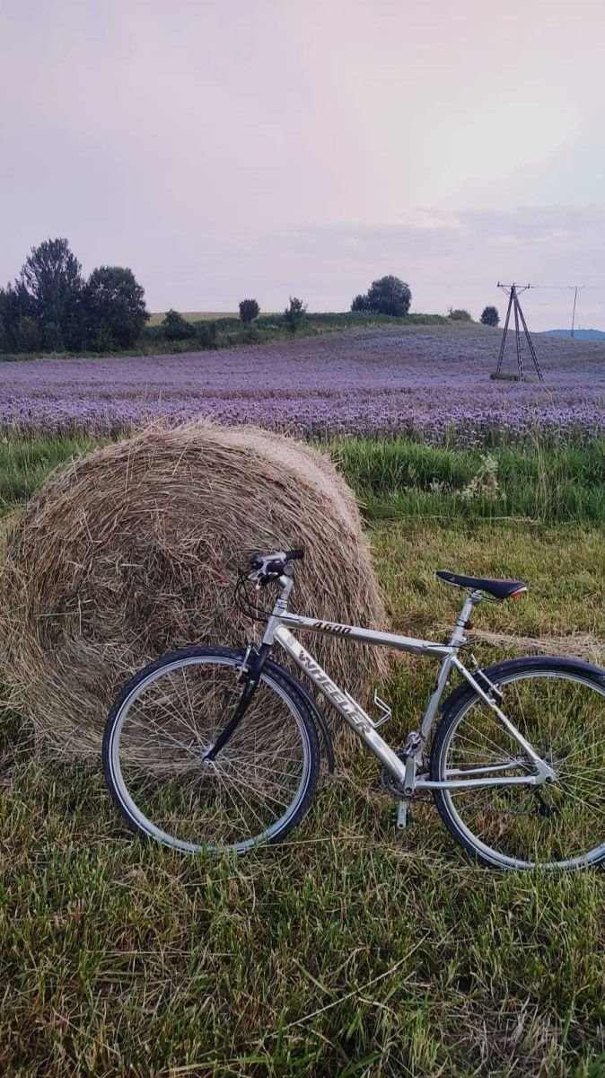 Działka budowlana na sprzedaż Kudowa-Zdrój, Zakrze  3 084m2 Foto 3