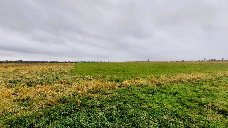 Działka rolna 16 543 m² blisko jeziora w Brzesku Brzesko  16 543m2 Foto 1