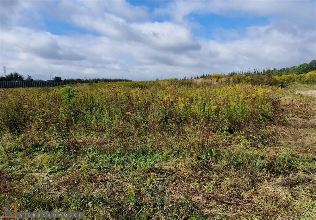 Do sprzedania działka 16,95 ara w Krakowie z prądem i możliwością zabudowy Kraków, Prądnik Biały, Tonie  1 695m2 Foto 1