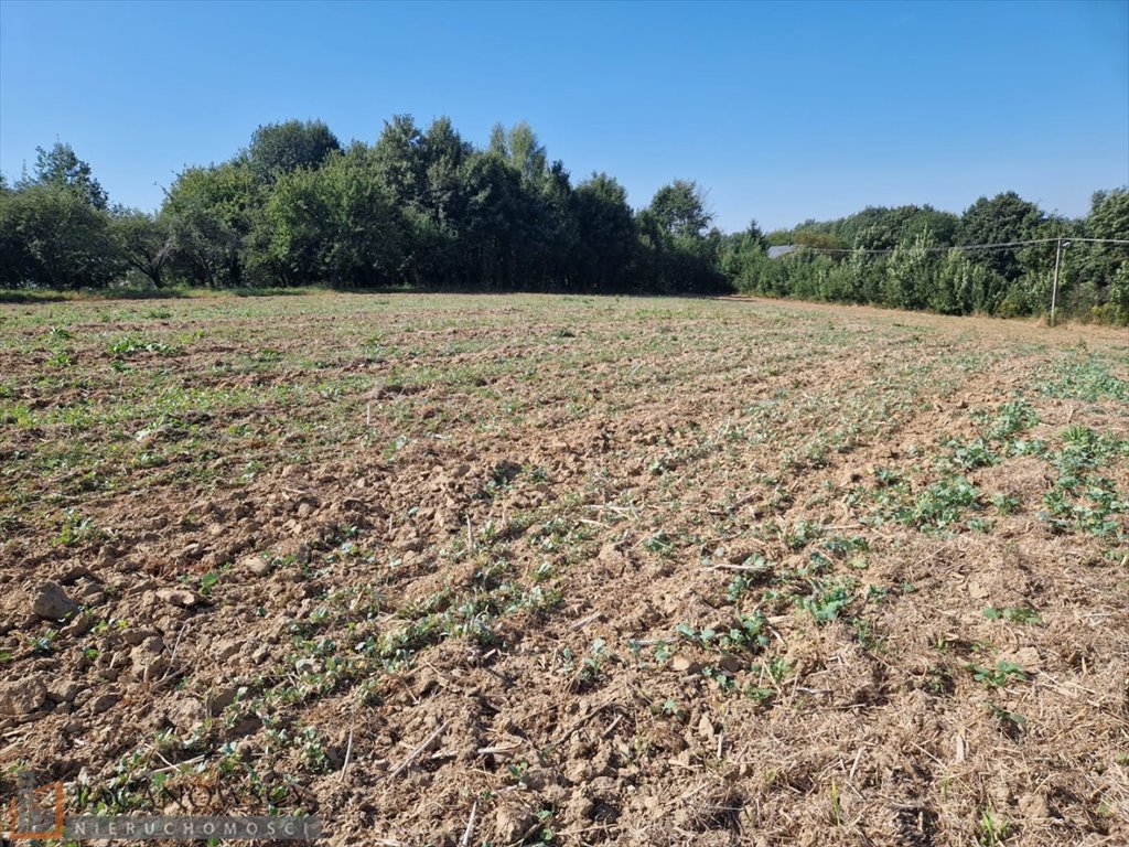 Działka siedliskowa na sprzedaż Narama  1 513m2 Foto 3