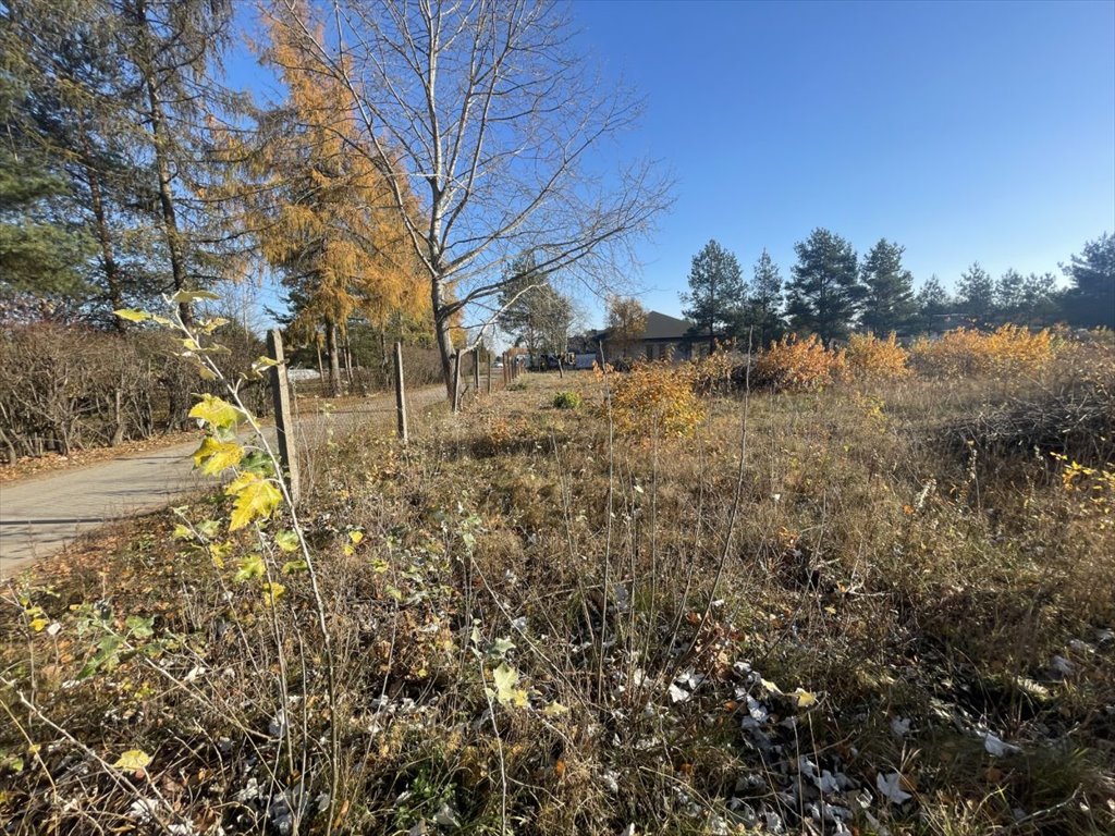 Duża działka 4000 m² pod dom w Mieszkowie, MPZP Mieszkowo, Szklarniowa  4 000m2 Foto 1