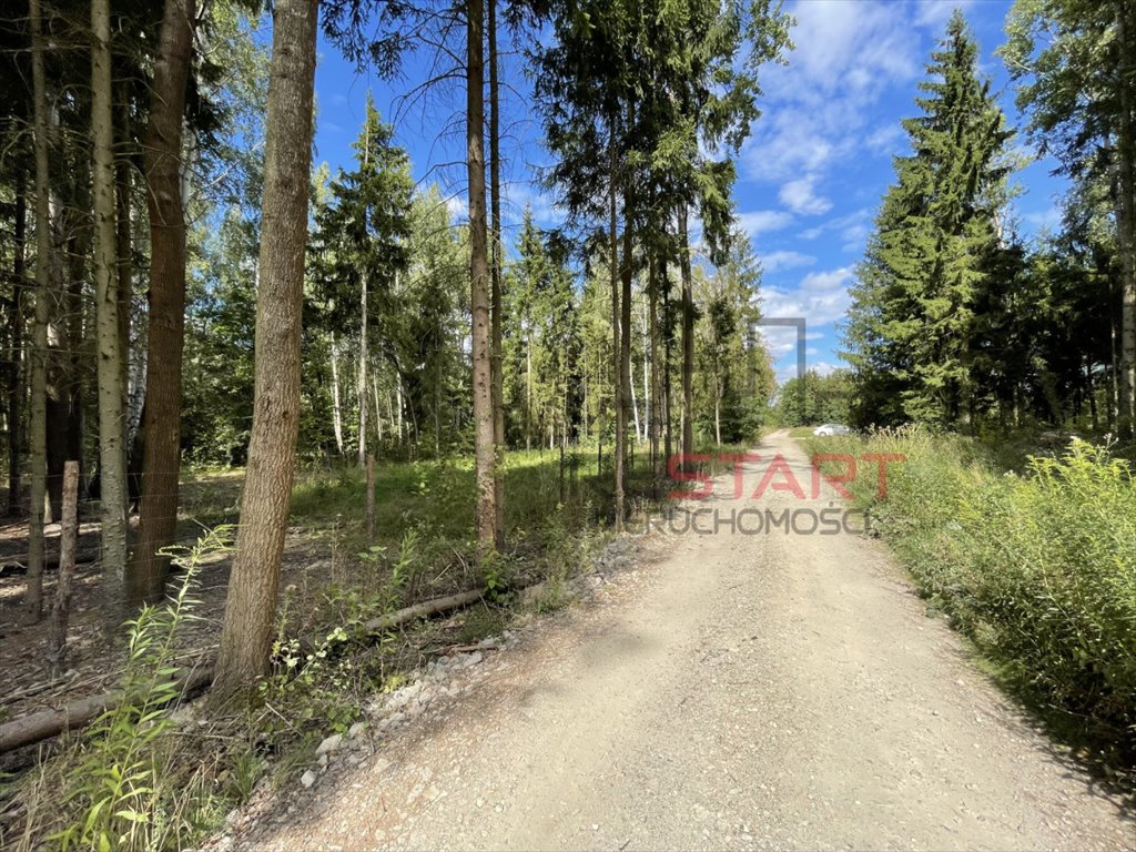 Działka 1050 m² w Ojrzanowie z lasem i planem zagospodarowania Ojrzanów  1 050m2 Foto 1