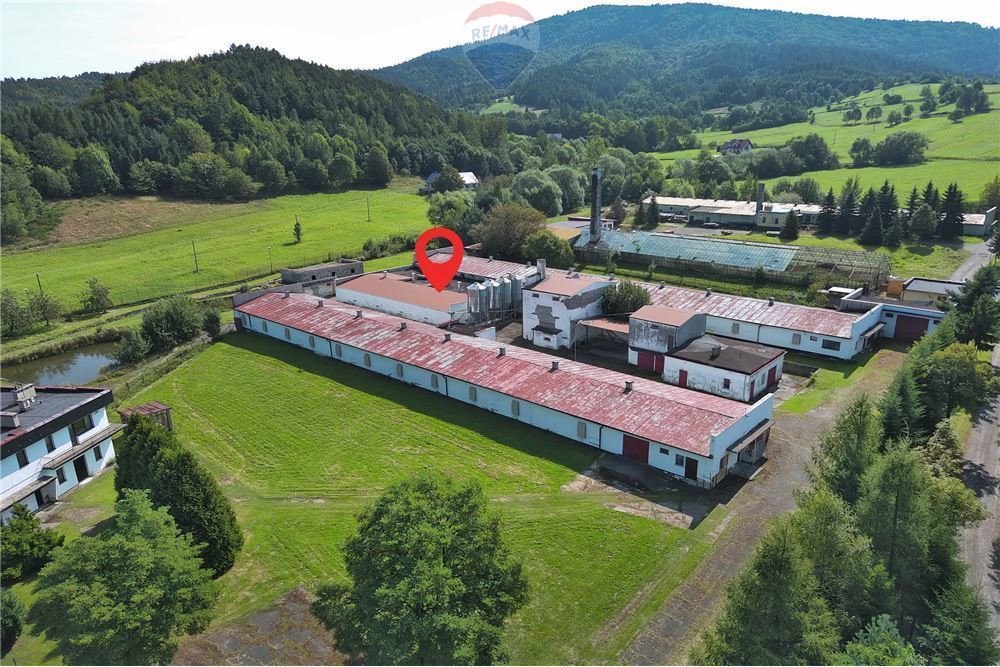 Magazyn na sprzedaż Rzyki  3 600m2 Foto 3