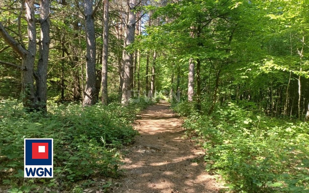 Działka rolna na sprzedaż Kroczyce Okupne, Podlesice  2 600m2 Foto 2