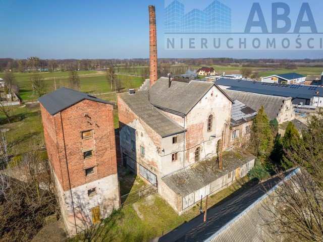 Magazyn z potencjałem inwestycyjnym, 600 m², Dobra Dobra, ul. Gabriela Narutowicza  600m2 Foto 1