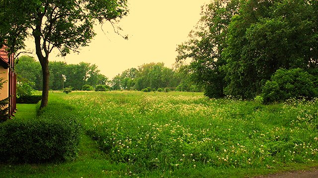 Działka 6 010 m2 z planem podziału i dostępem do jezior Giżyn  6 010m2 Foto 1