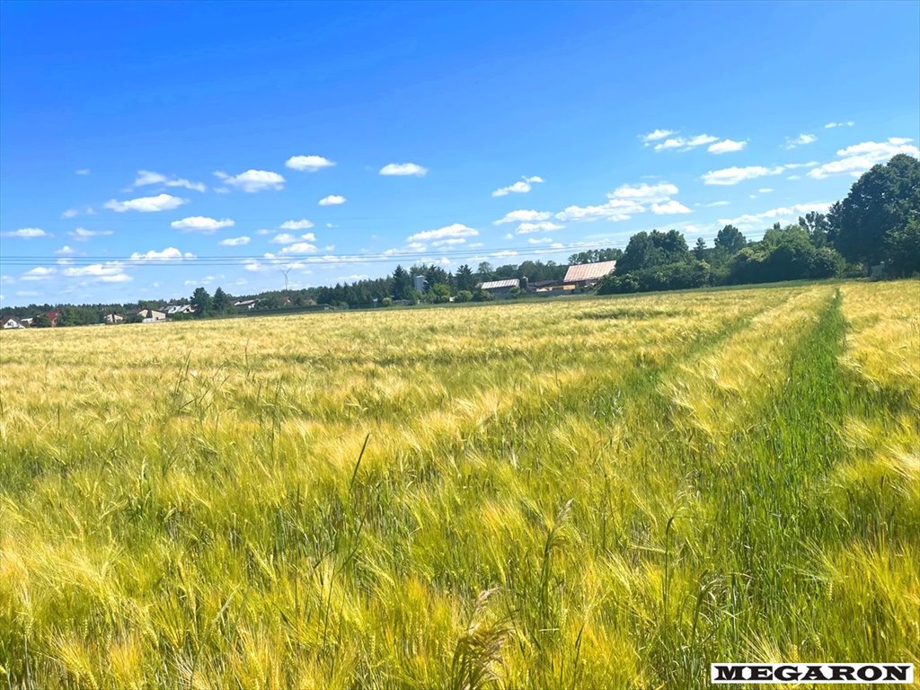 Działka budowlana w Opatowie z potencjałem, 4700 m² Opatów  4 470m2 Foto 1
