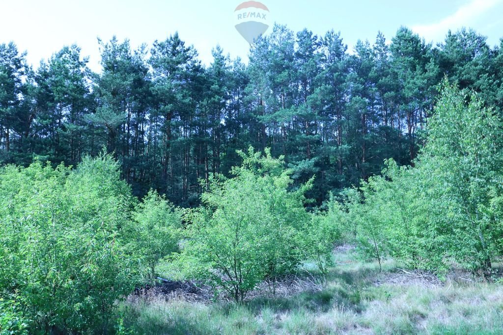 Działka budowlana na sprzedaż Podłęż  1 649m2 Foto 16