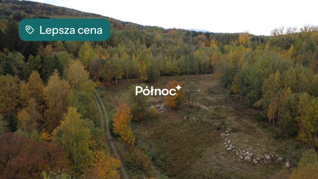 Malownicza działka 6415 m² z dostępem do drogi asfaltowej zapraszam Piechowice, Piastów  6 415m2 Foto 1