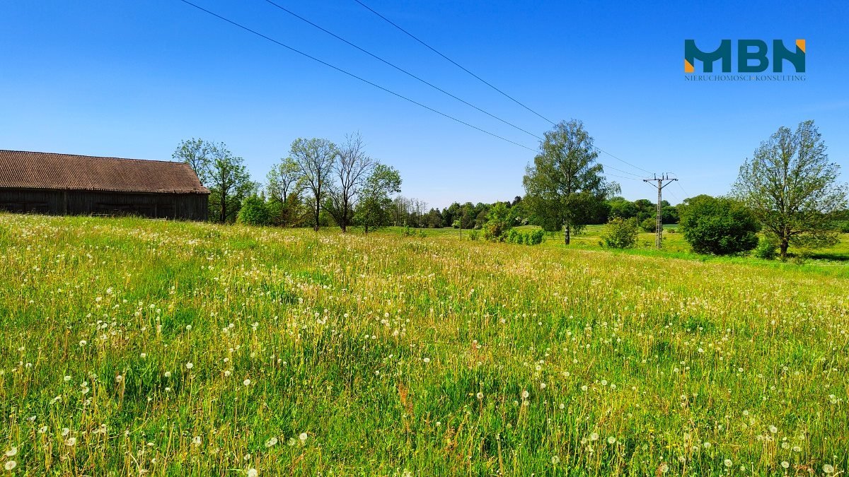 Działka rolna na sprzedaż Węgorzewo, Rudziszki  21 800m2 Foto 1