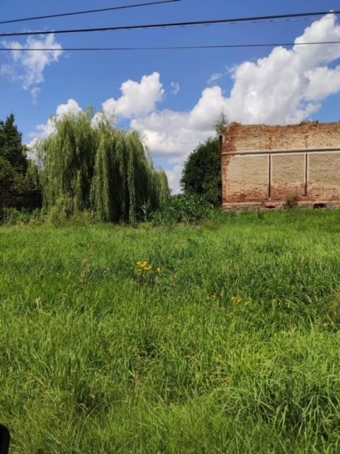 Działka budowlana na sprzedaż Kamieniec Ząbkowicki  2 200m2 Foto 1