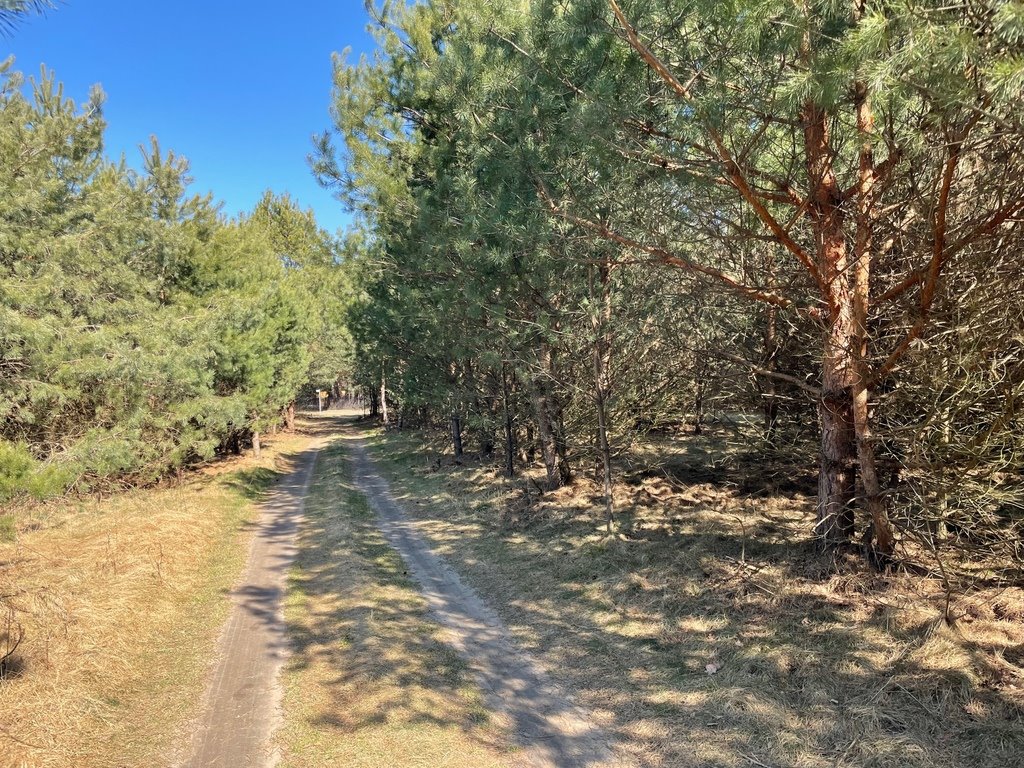 Działka budowlana na sprzedaż Arciechów  700m2 Foto 7