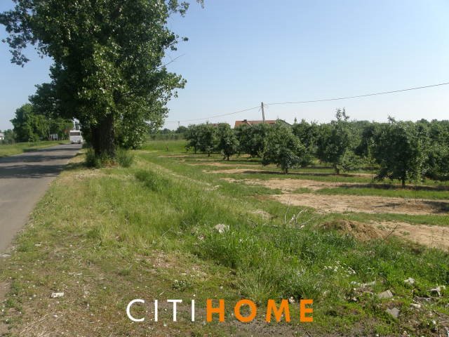 Działka budowlana 3000 m² z mediami, dojazd asfaltowy Radwanków Królewski  3 086m2 Foto 1