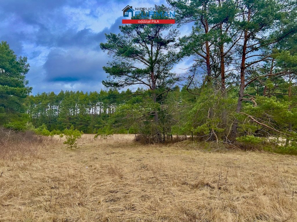 Działka budowlana na sprzedaż Czechyń  1 699m2 Foto 1