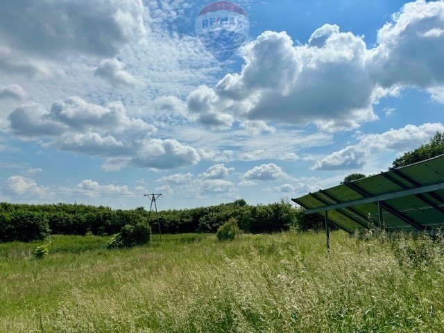 Dom na sprzedaż Barłożno  700m2 Foto 5