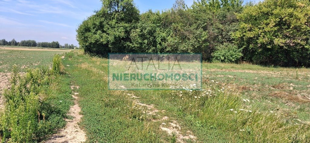 Do sprzedania działka rolna 48 730 m² w Kotowicach Kotowice  48 730m2 Foto 1