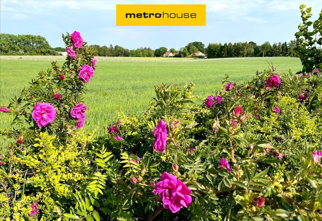 Działka 1000 m² pod dom blisko morza w Gąskowie Gąskowo  1 000m2 Foto 1