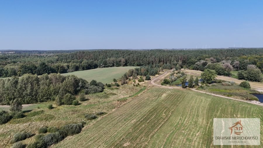 Działka rolna na sprzedaż Mielenko Drawskie, Mielenko Drawskie  71 700m2 Foto 7