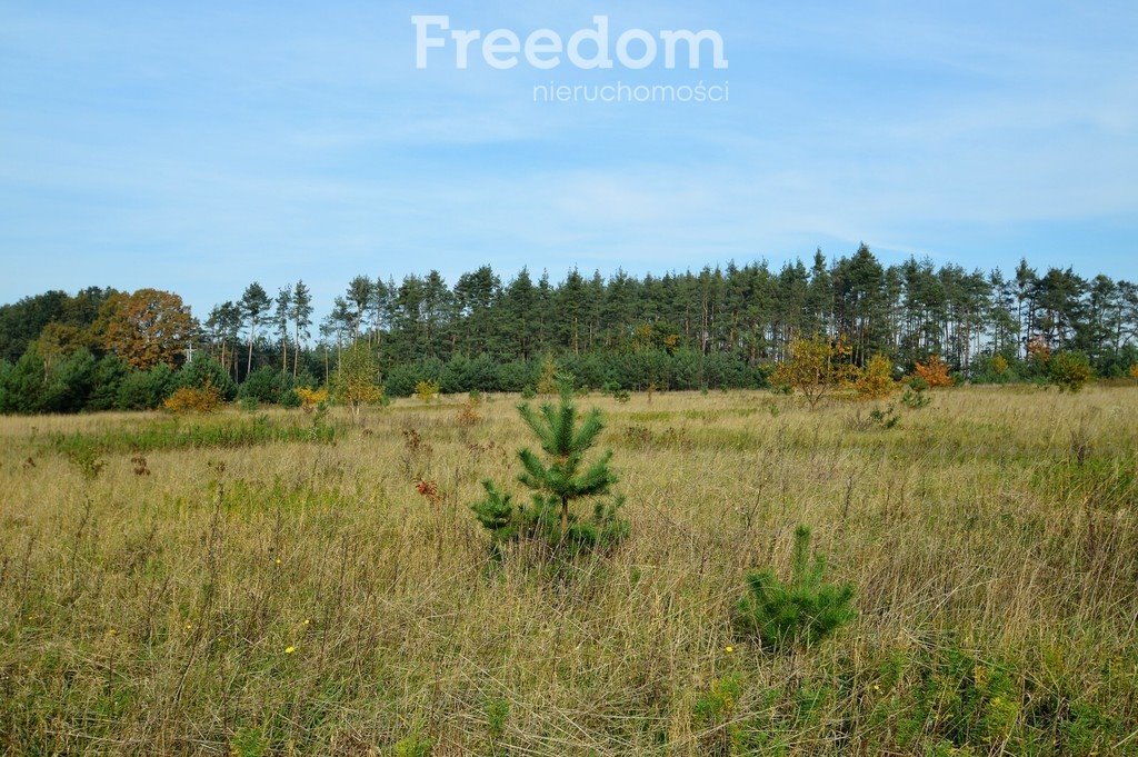 Działka budowlana na sprzedaż Siedliska  735m2 Foto 3