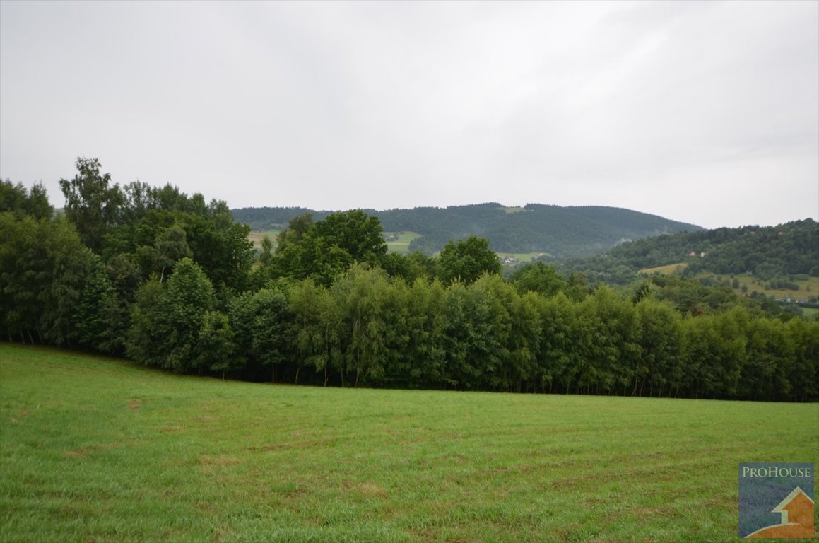 Działka pod dom z pięknym widokiem na góry, 3005 m2 Walowa Góra  3 005m2 Foto 1
