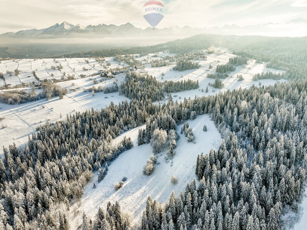 Działka rolna na sprzedaż Bukowina Tatrzańska  7 839m2 Foto 13