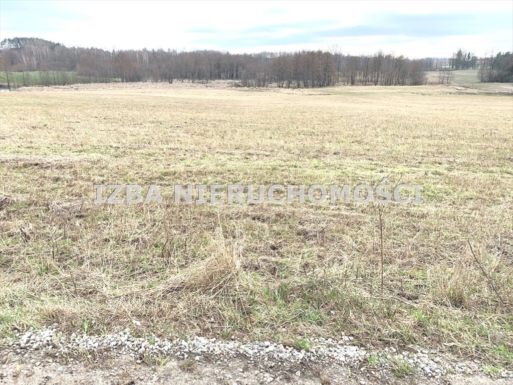 Działka rekreacyjna na sprzedaż Rękusy  3 000m2 Foto 3