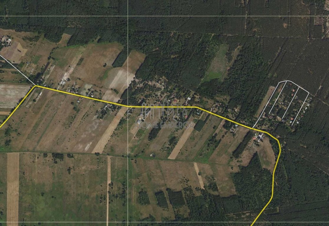 Działka budowlana na sprzedaż Zuzanów  3 000m2 Foto 1