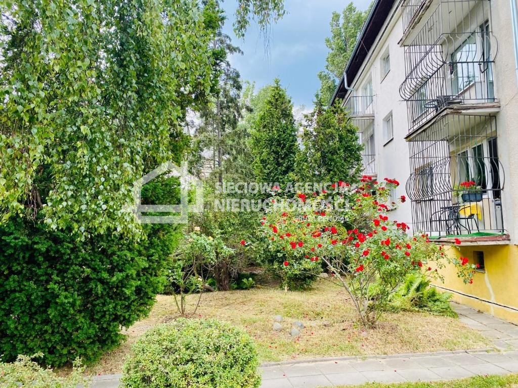 Zapraszam do wynajęcia 62 m² mieszkania w Sopocie Dolnym Sopot, Dolny, Stefana Okrzei  62m2 Foto 1