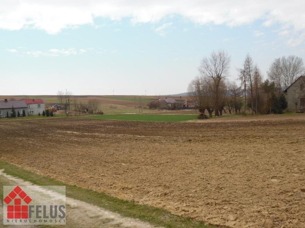 Działka inna na sprzedaż Niedźwiedź  1 100m2 Foto 12