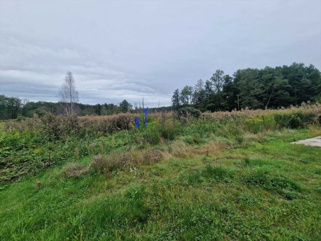 Działki pod zabudowę - las, media, inwestycja w Nowym Dworze Nowy Dwór  911m2 Foto 1