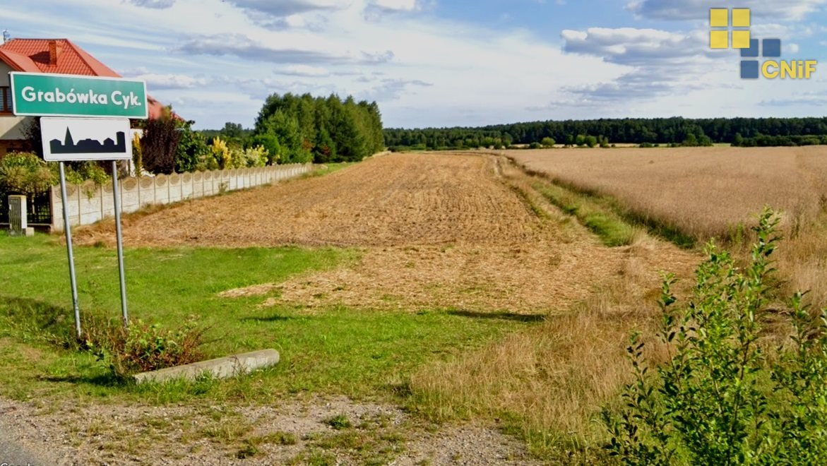 Na sprzedaż działka 6286 m² z MPZP i mediami w Grabówce Grabówka  6 286m2 Foto 1
