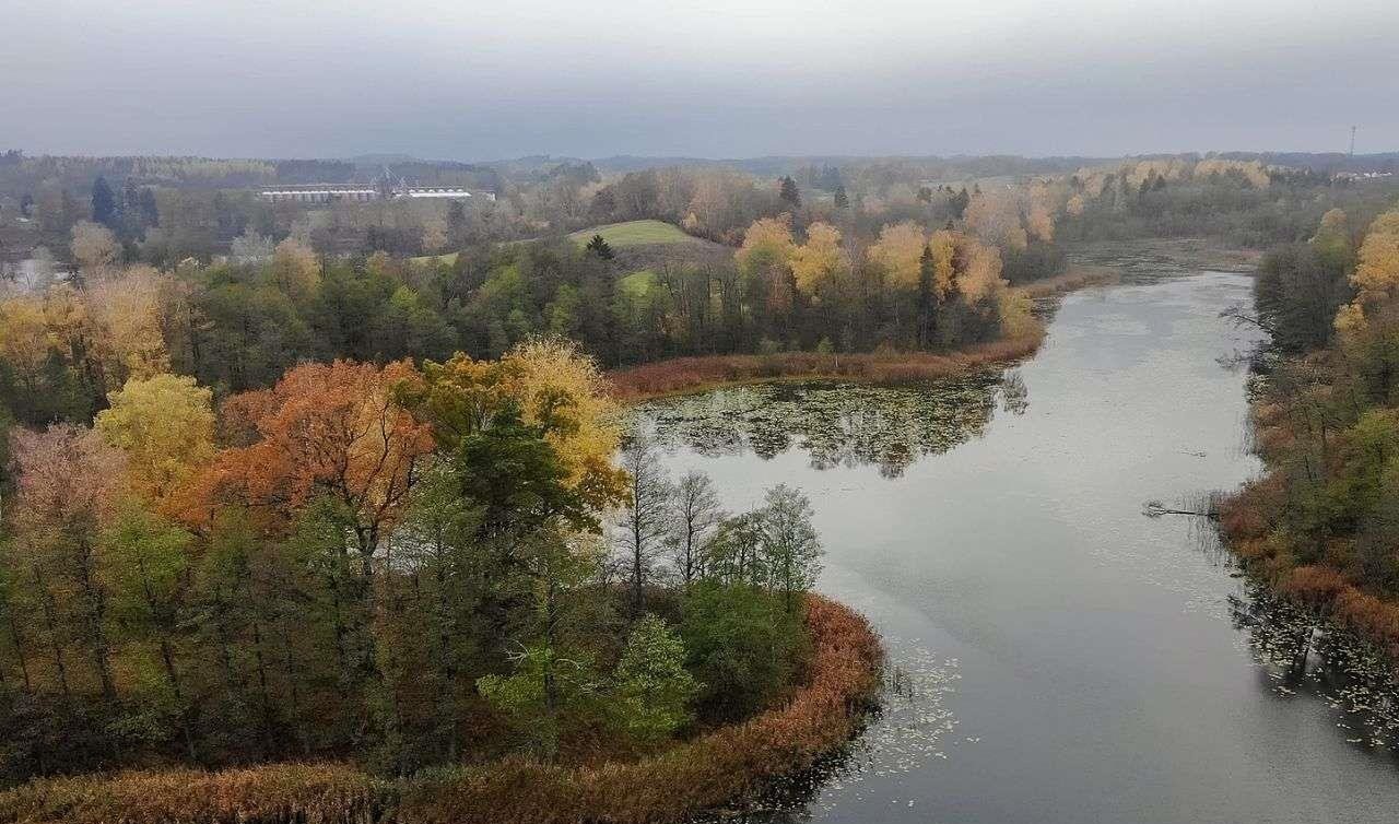 Działka rolna na sprzedaż Świętajno  3 010m2 Foto 3