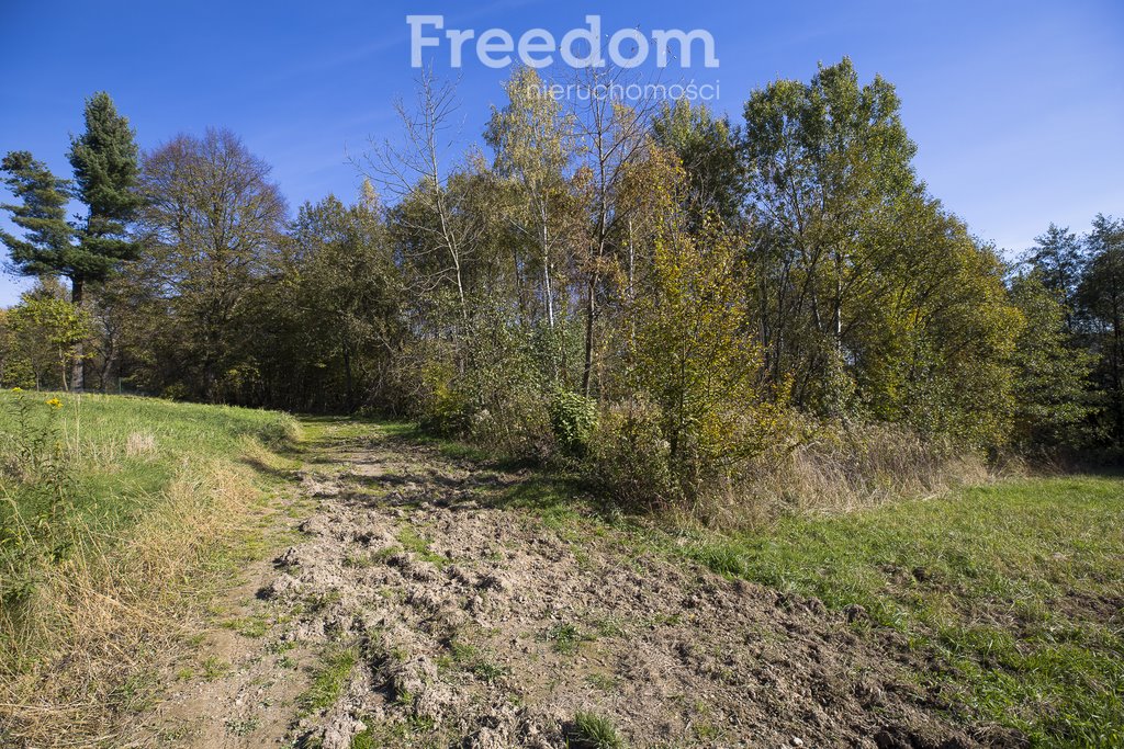 Działka budowlana na sprzedaż Hadle Kańczuckie  2 405m2 Foto 10