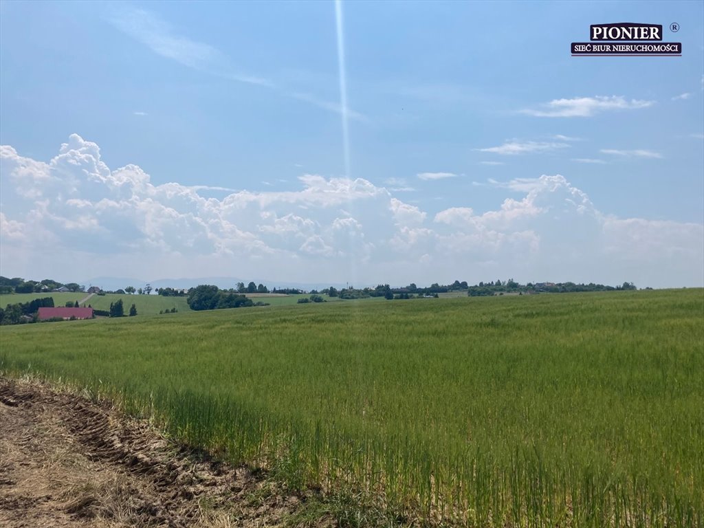 Działka rolna na sprzedaż Zamarski  70 000m2 Foto 9