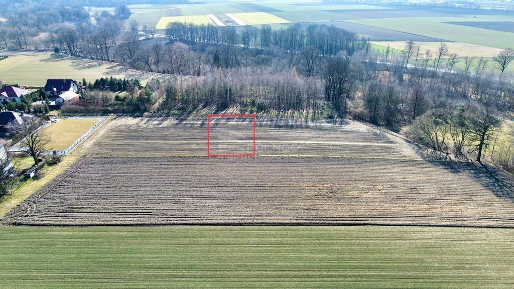 Działka budowlana na sprzedaż Przyszowice  1 150m2 Foto 3