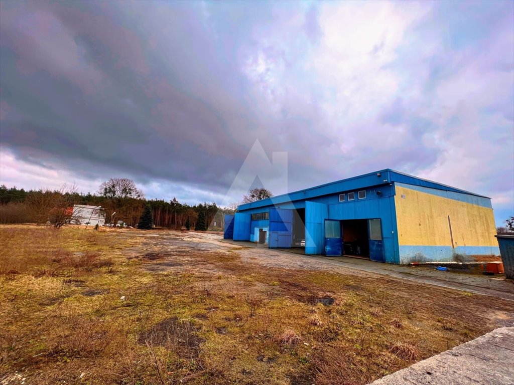 Magazyn na wynajem Brzoza  650m2 Foto 3