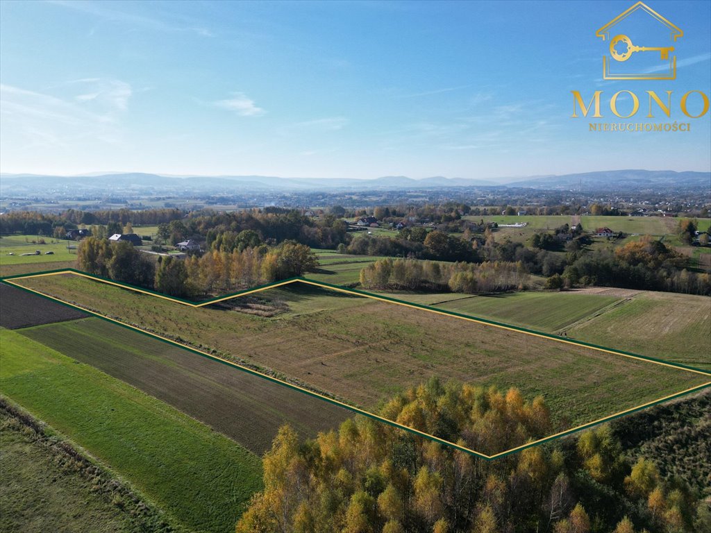 Działka rolna na sprzedaż Korczyna  15 400m2 Foto 2