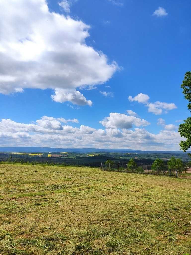 Działka inna na sprzedaż Nowa Ruda  1 412m2 Foto 5