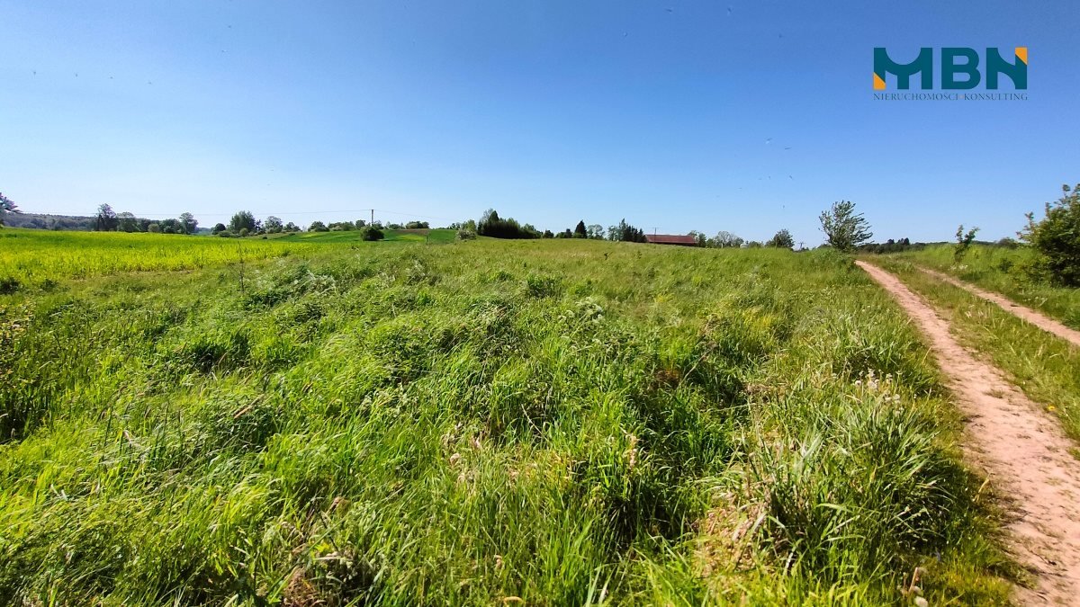 Działka rolna na sprzedaż Węgorzewo, Rudziszki  21 800m2 Foto 7