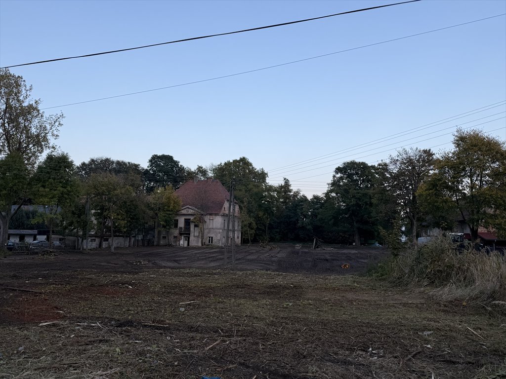Do sprzedania działka 4300 m² przy parku w Kowalowicach Kowalowice, Kręta 6  4 300m2 Foto 1