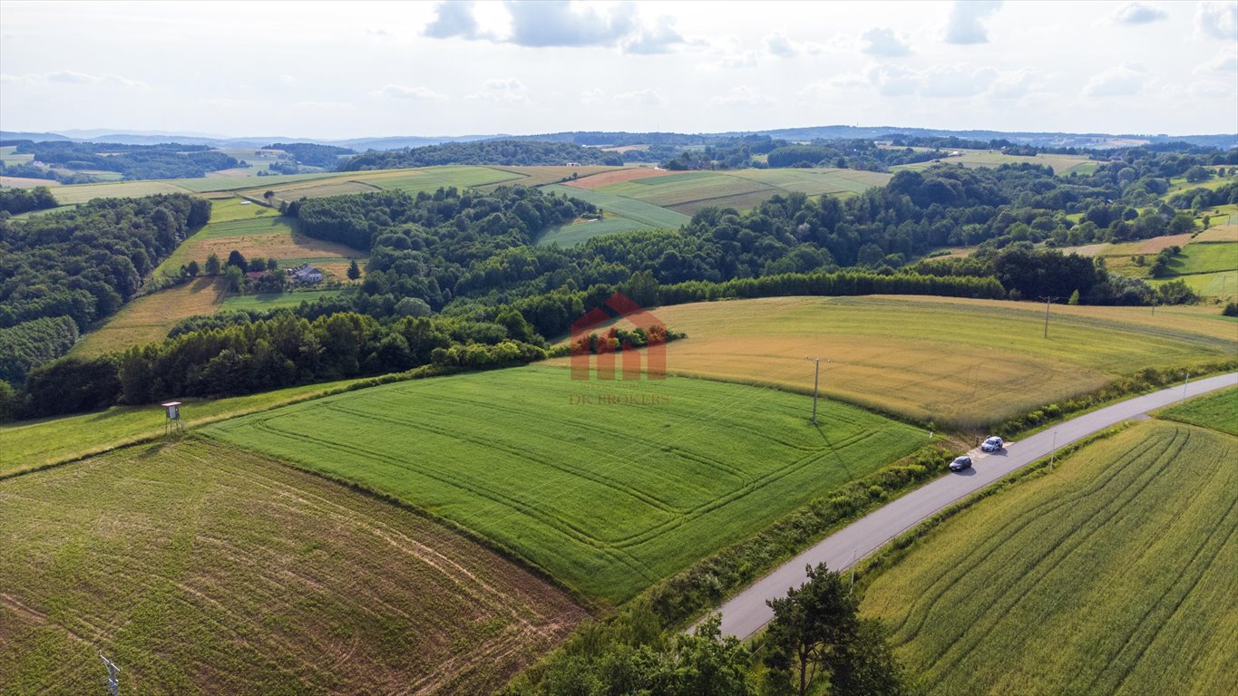 Działka budowlana na sprzedaż Wielopole Skrzyńskie  3 650m2 Foto 15