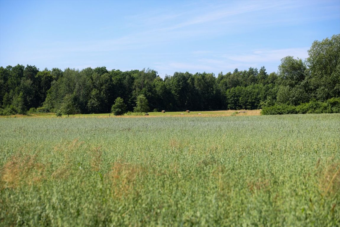 Działka siedliskowa na sprzedaż Stare Siedlisko  135 470m2 Foto 2