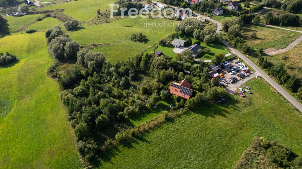 Na sprzedaż działka 4265 m² z oczkiem wodnym w Pomlewie Pomlewo  4 265m2 Foto 1
